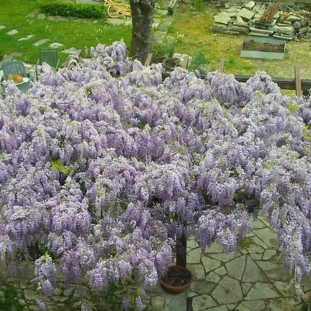 Hotel Al Cavallino 2*